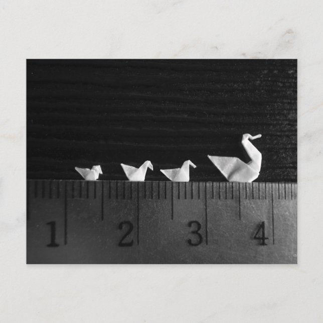 Cartão Postal natação da família 3cm (Frente)