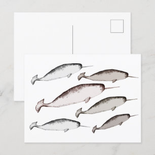 Cartão Postal Natação de Narbalas - Presente de Ilustração de Ba