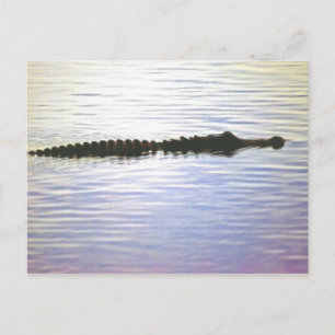 CARTÃO POSTAL NATAÇÃO SUNSET