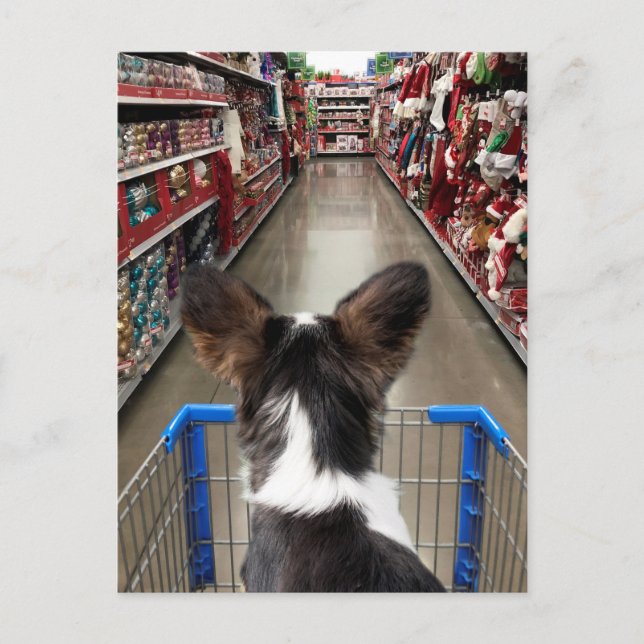 Cartão Postal Natal Comprando Chihuahua (Frente)