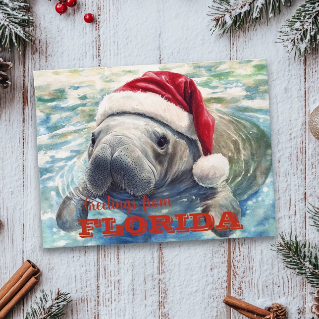 Cartão Postal Natal de Aquarela do Peixe-Boi da Flórida (Criador carregado)