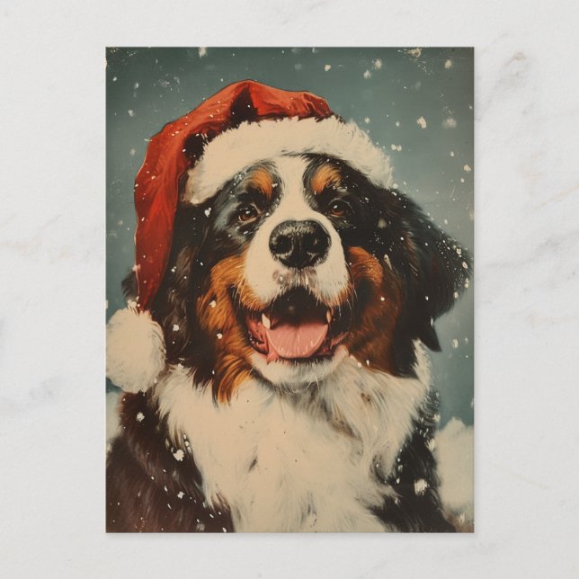 Cartão Postal Natal de cão da montanha Bernese (Frente)
