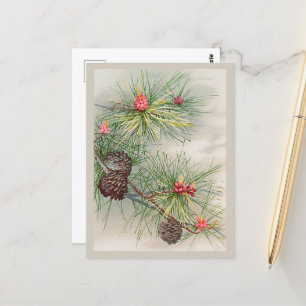 Cartão Postal Natal de pinheiros e flores