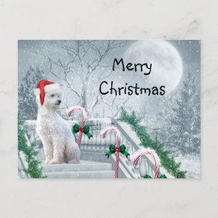 Cartão Postal Natal de Poodle Branco