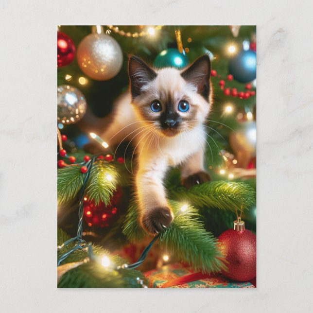 Cartão Postal Natal de Siamese Adorável (Frente)