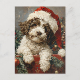 Cartão Postal Natal do Lagotto Romagnolo