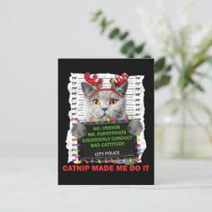 Cartão Postal Natal Feio Para Gato Mãe Pai Gato Amor