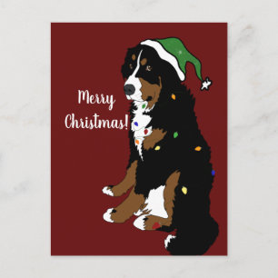Cartão Postal Natal Feriado Bernese Mountain Dog