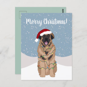 Cartão Postal Natal Leonberger