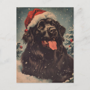 Cartão Postal Natal para cães da Terra Nova