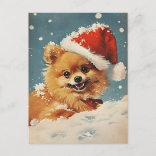 Cartão Postal Natal Pomerano