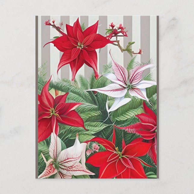 Cartão Postal Natal Red Amaryllis e Poinsettias (Frente)