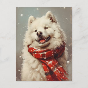 Cartão Postal Natal Samoyed