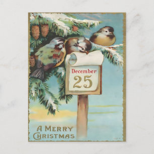 Cartão Postal Natal Vintage de 25 de Dezembro Pássaros & Pinheir