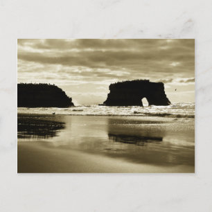 Cartão Postal Natural Bridges State Beach