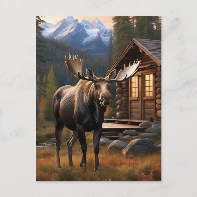 Cartão Postal *~* Nature AP49 MOOSE Woods Forest Dusk Montanhas (Frente)
