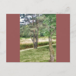 Cartão Postal Nature Em Beleza 2