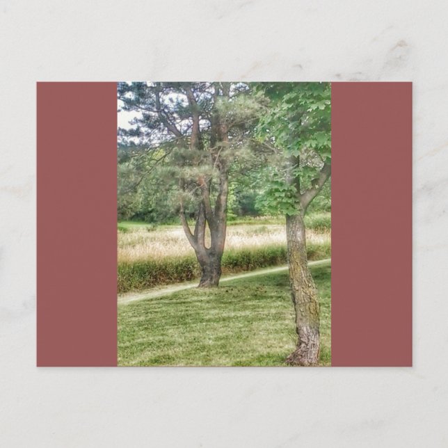 Cartão Postal Nature Em Beleza 2 (Frente)