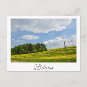 Cartão Postal Nature Landscape Canola Field Rural Belarus 