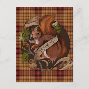Cartão Postal Nature Nut Squirrel