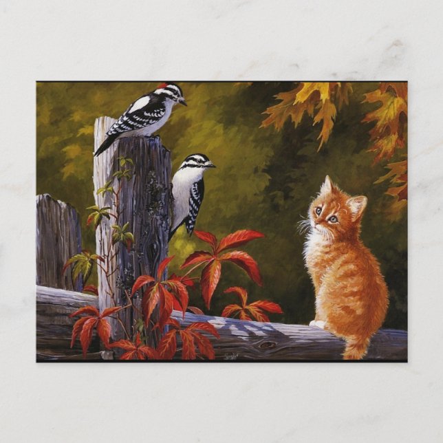 Cartão Postal Natures (Frente)