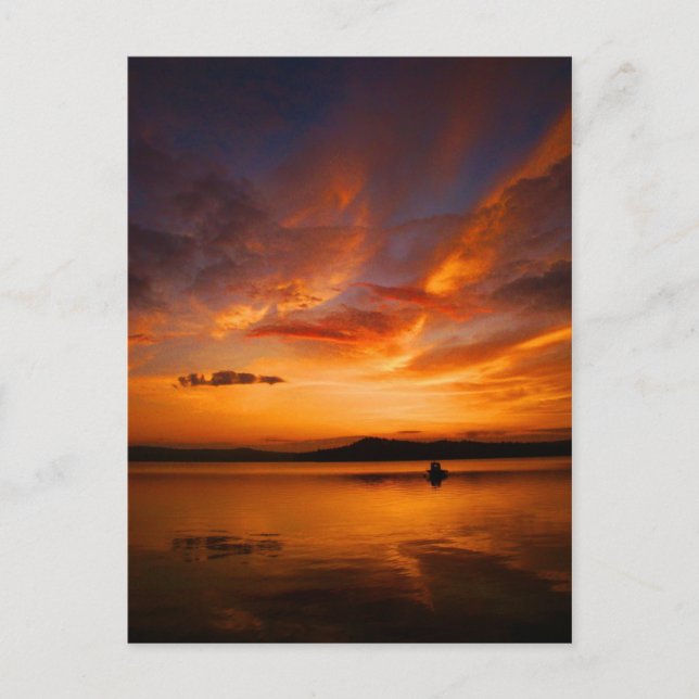 Cartão Postal Natures Palette Postcard (Frente)