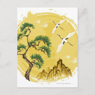 Cartão Postal Natureza