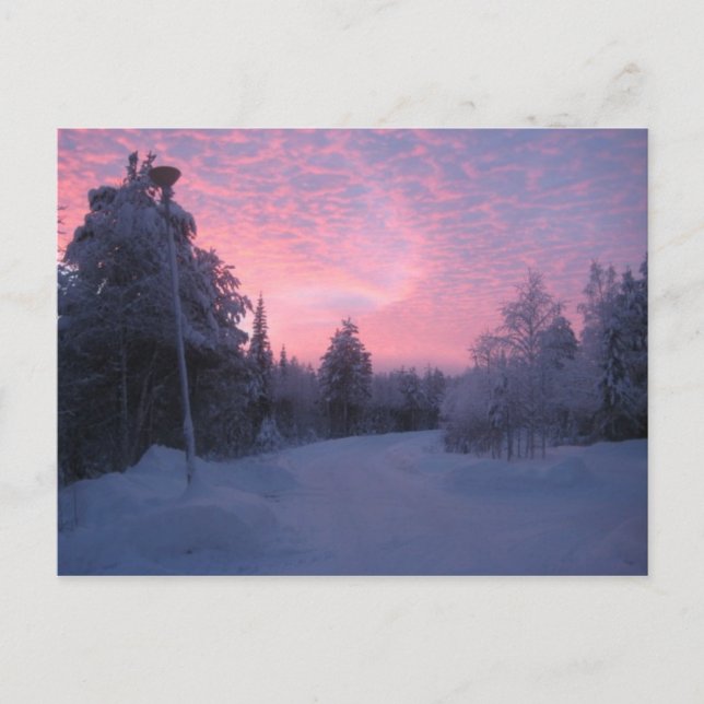 Cartão Postal Natureza (Frente)