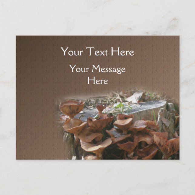 Cartão Postal Natureza da aldeia Mushroom (Frente)