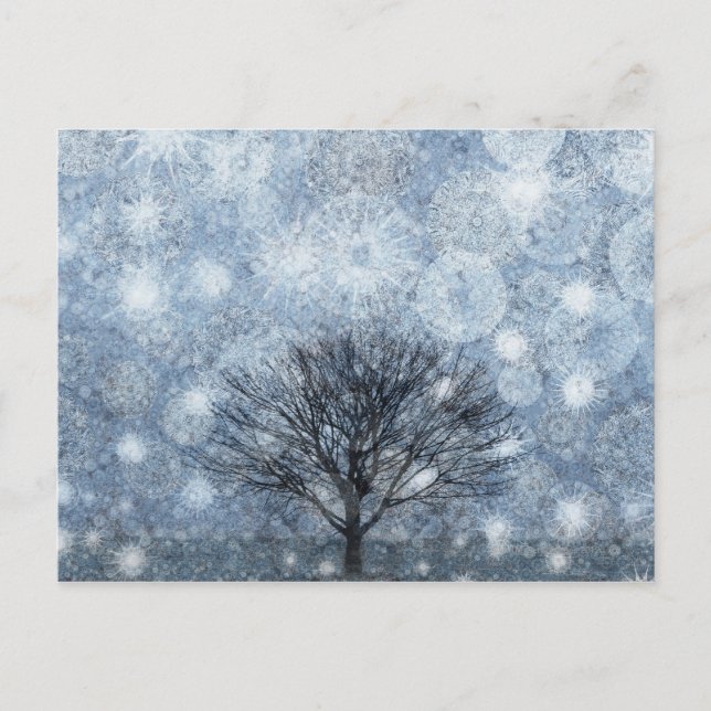 Cartão Postal Natureza da sobrevivência (Frente)