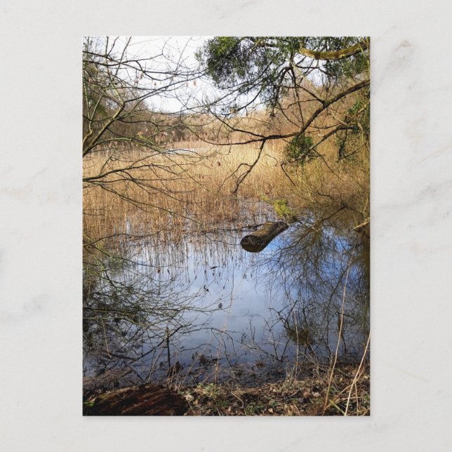 Cartão Postal Natureza das zonas rurais (Frente)