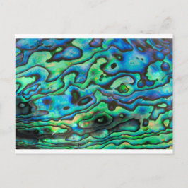 Cartão Postal Natureza design paua concha do abalone