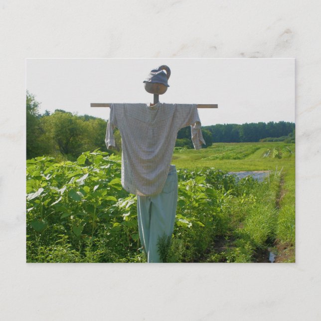 Cartão Postal Natureza do Espantalho do Jardim do País (Frente)
