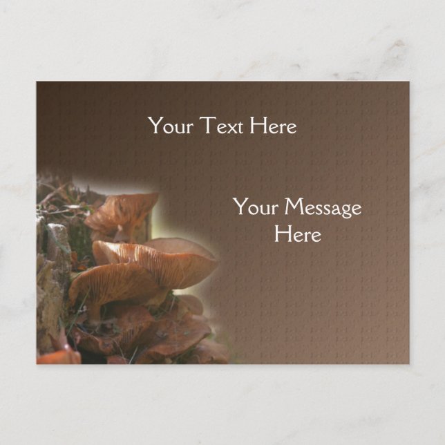 Cartão Postal Natureza dos Cogumelos Selvagens Empilhados (Frente)
