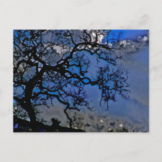 Cartão Postal Natureza é antiga