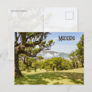Cartão Postal Natureza e paisagem da Floresta de Fanal, Madeira