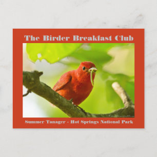 Cartão Postal Natureza Fotografia Summer Tanager Birder