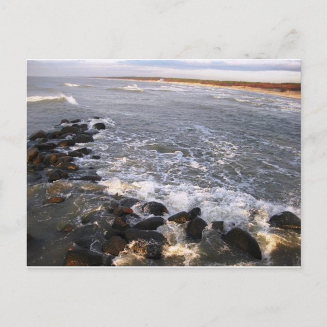 Cartão postal "Natureza. Lituânia, Palanga" (Frente)