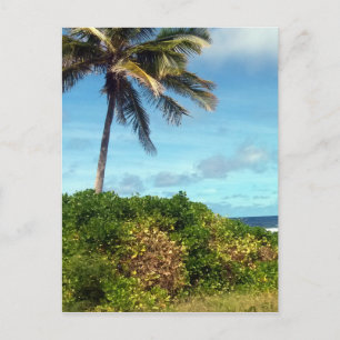 Cartão Postal nauru