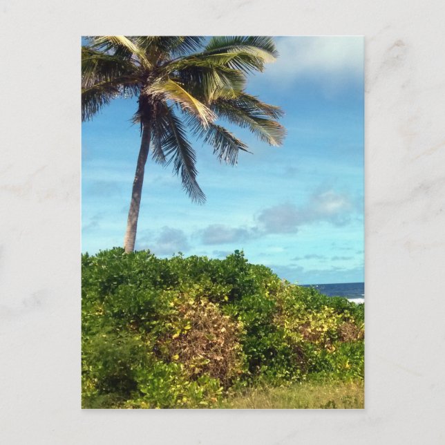 Cartão Postal nauru (Frente)