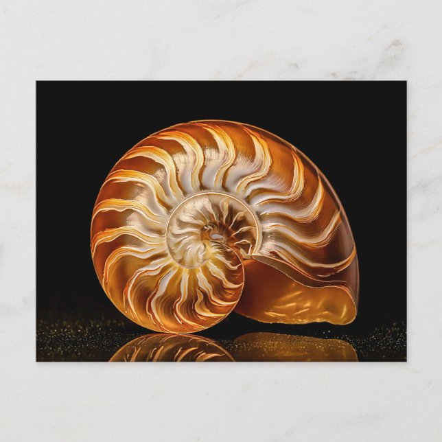 Cartão Postal Nautile, coquille dorée (Frente)