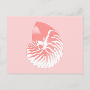 Cartão Postal Nautilus - coral rosa e branco