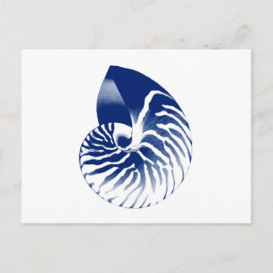 Cartão Postal Nautilus shell - marinho azul e branco