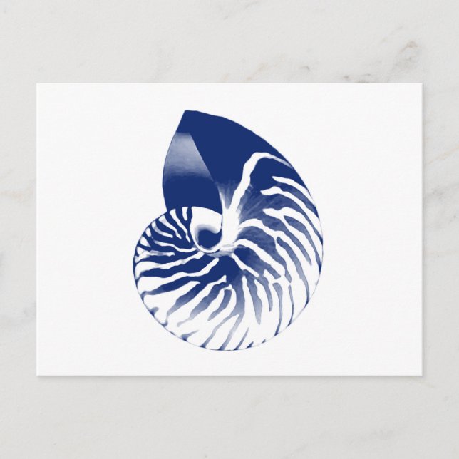 Cartão Postal Nautilus shell - marinho azul e branco (Frente)