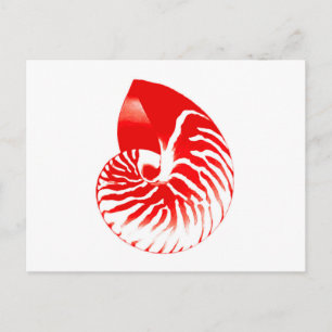 Cartão Postal Nautilus shell - vermelho escuro e branco