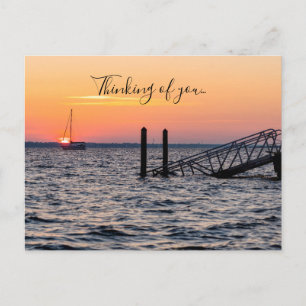Cartão Postal Navarre Florida Papais noeis Rosa Sunrise Pensando