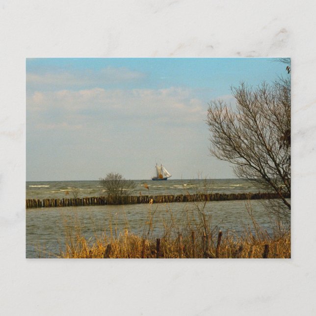 Cartão Postal Navios de navegação neerlandeses em Ijselmeer (Frente)