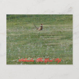 Cartão Postal Nebraska The Good Life
