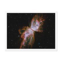 Nebulosa Borboleta Borda Branca