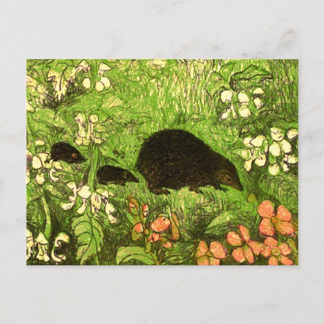 Cartão Postal Neerlandês Art Nouveau Hedgehog e Bebês (Frente)